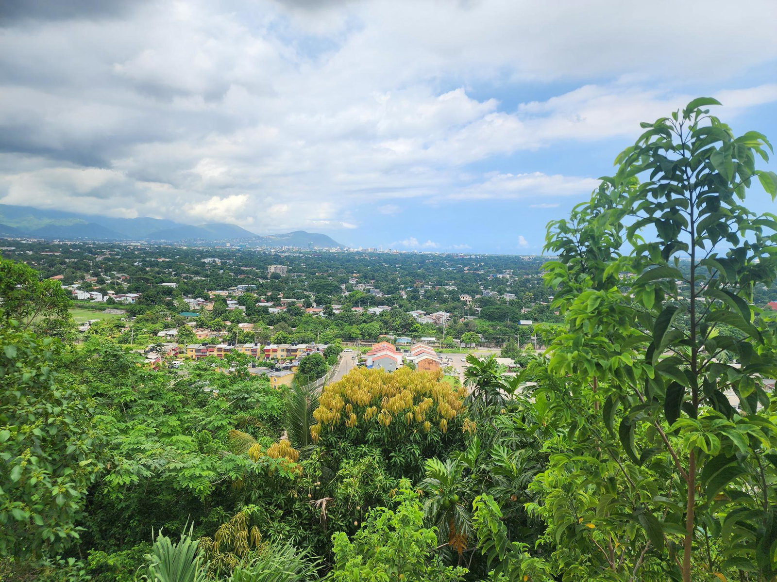 Ninth image of Catherine Drive in Kingston 19, St. Andrew, Jamaica - property is For Rent
