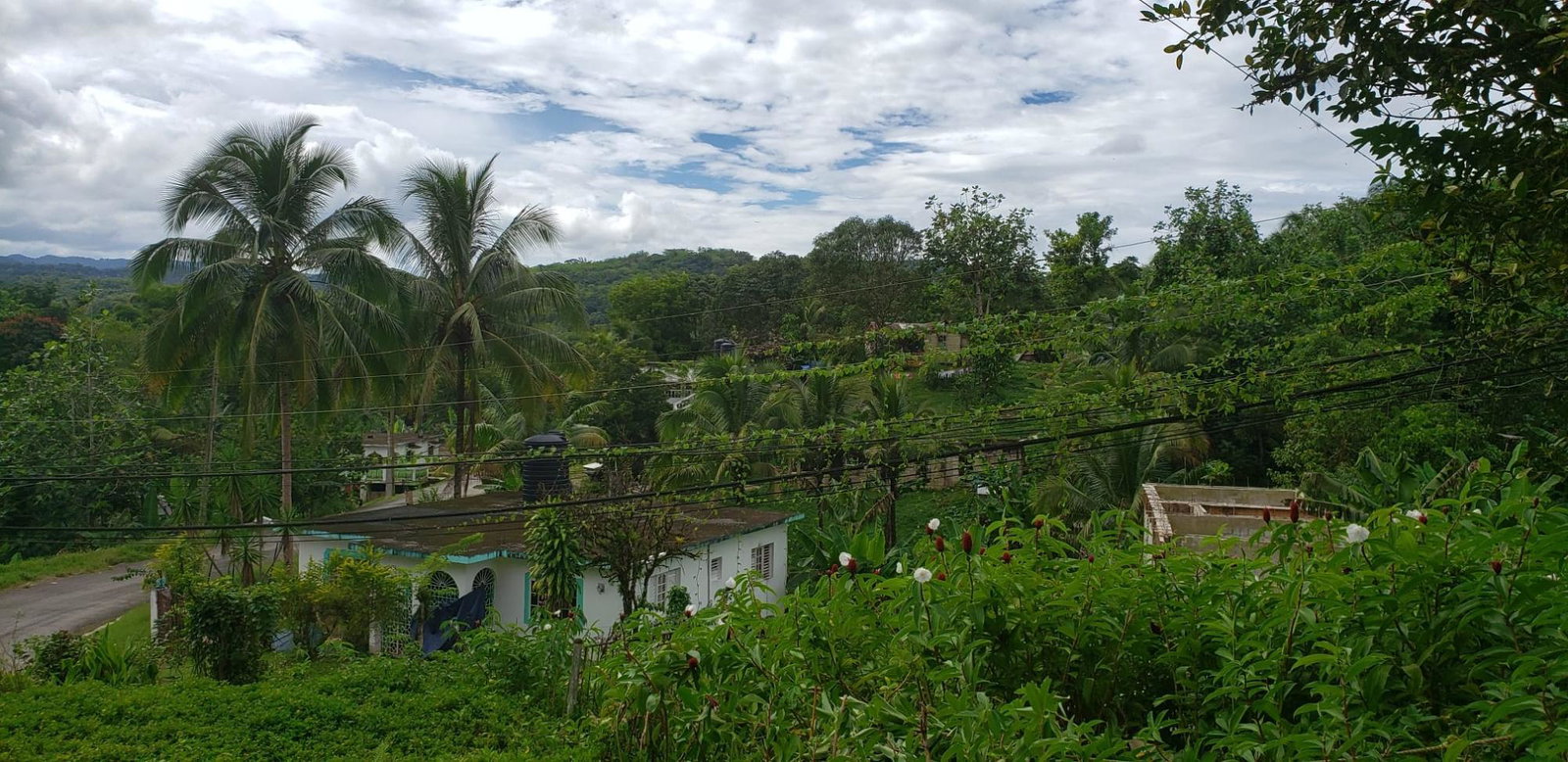 Eleventh image of Ducketts Road, Cambridge in Cambridge, St. James, Jamaica - property is For Sale