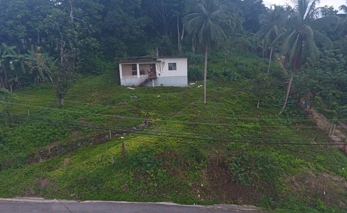 First image of Ducketts Road, Cambridge in Cambridge, St. James, Jamaica - property is For Sale