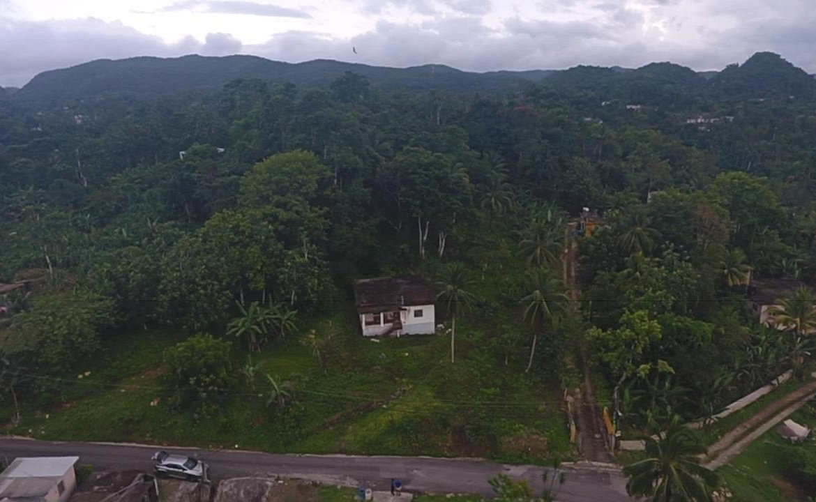 Sixth image of Ducketts Road, Cambridge in Cambridge, St. James, Jamaica - property is For Sale