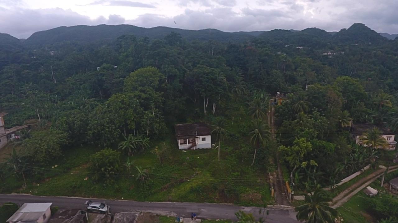 Sixth image of Ducketts Road, Cambridge in Cambridge, St. James, Jamaica - property is For Sale