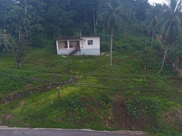 First image of Ducketts Road, Cambridge in Cambridge, St. James, Jamaica - property is For Sale