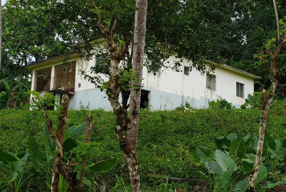 Seventh image of Ducketts Road, Cambridge in Cambridge, St. James, Jamaica - property is For Sale