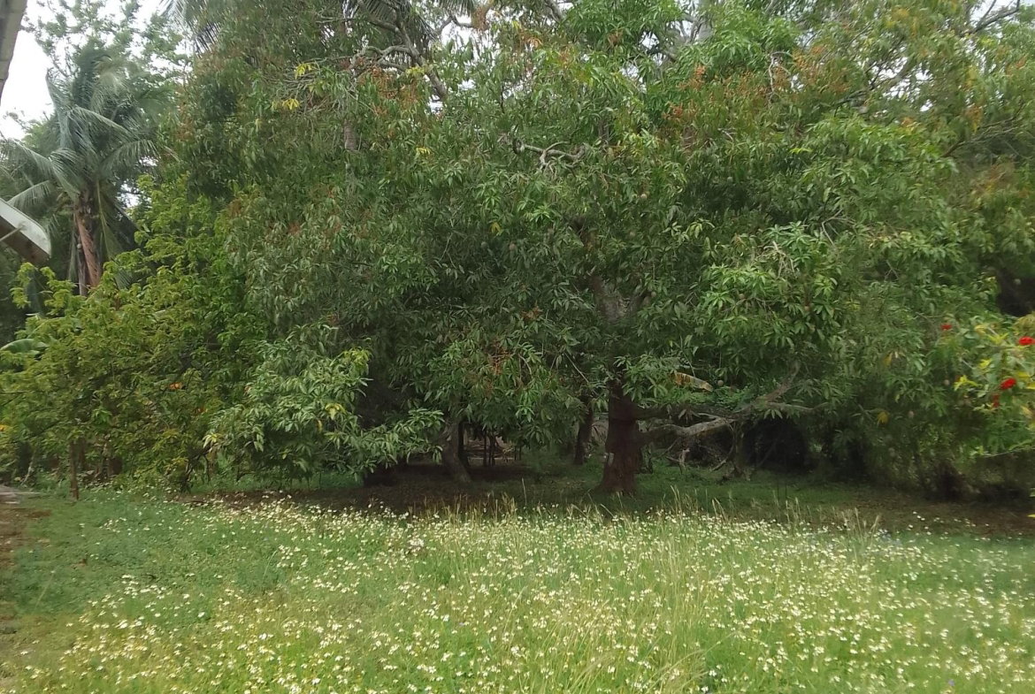 Eighth image of Old Porus rd in Porus, Manchester, Jamaica - property is For Sale