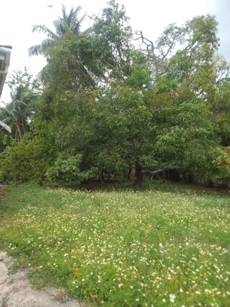 Eighth image of Old Porus rd in Porus, Manchester, Jamaica - property is For Sale