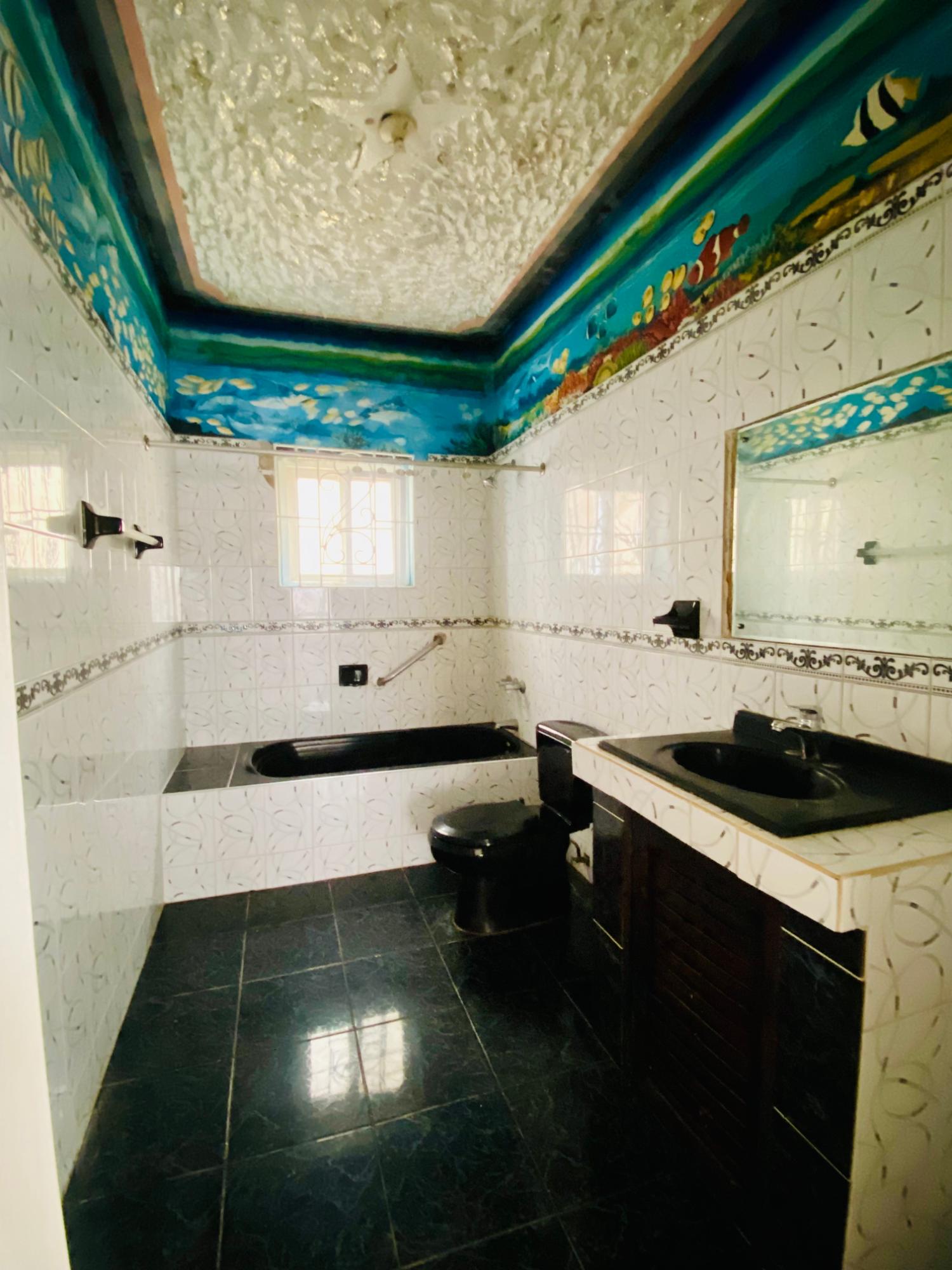3-Bedroom-House-for-Sale-in-Roaring-River-St.-Ann-Jamaica Ninth image of Lot 12 Roaring River in Steer Town, St. Ann, Jamaica - property is For Sale