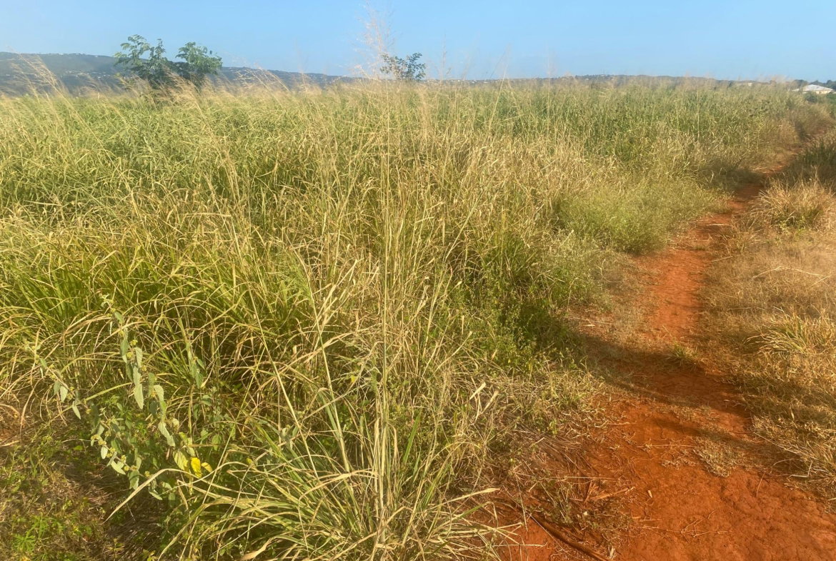 Second image of Beacon Called Short Hill in Treasure Beach, St. Elizabeth, Jamaica - property is For Sale