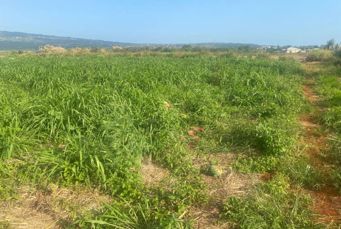 First image of Beacon Called Short Hill in Treasure Beach, St. Elizabeth, Jamaica - property is For Sale