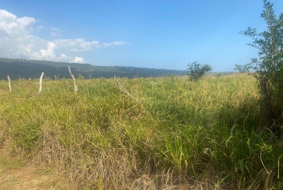 Third image of Beacon Called Short Hill in Treasure Beach, St. Elizabeth, Jamaica - property is For Sale