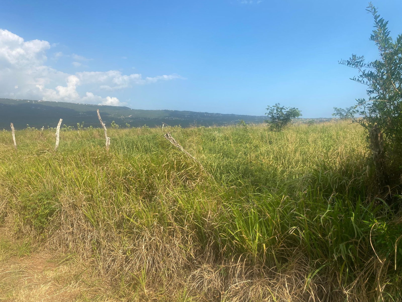 Third image of Beacon Called Short Hill in Treasure Beach, St. Elizabeth, Jamaica - property is For Sale