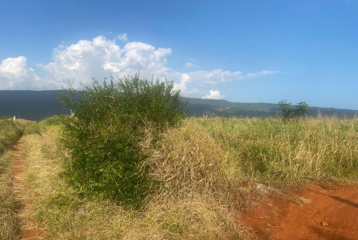 Fourth image of Beacon Called Short Hill in Treasure Beach, St. Elizabeth, Jamaica - property is For Sale