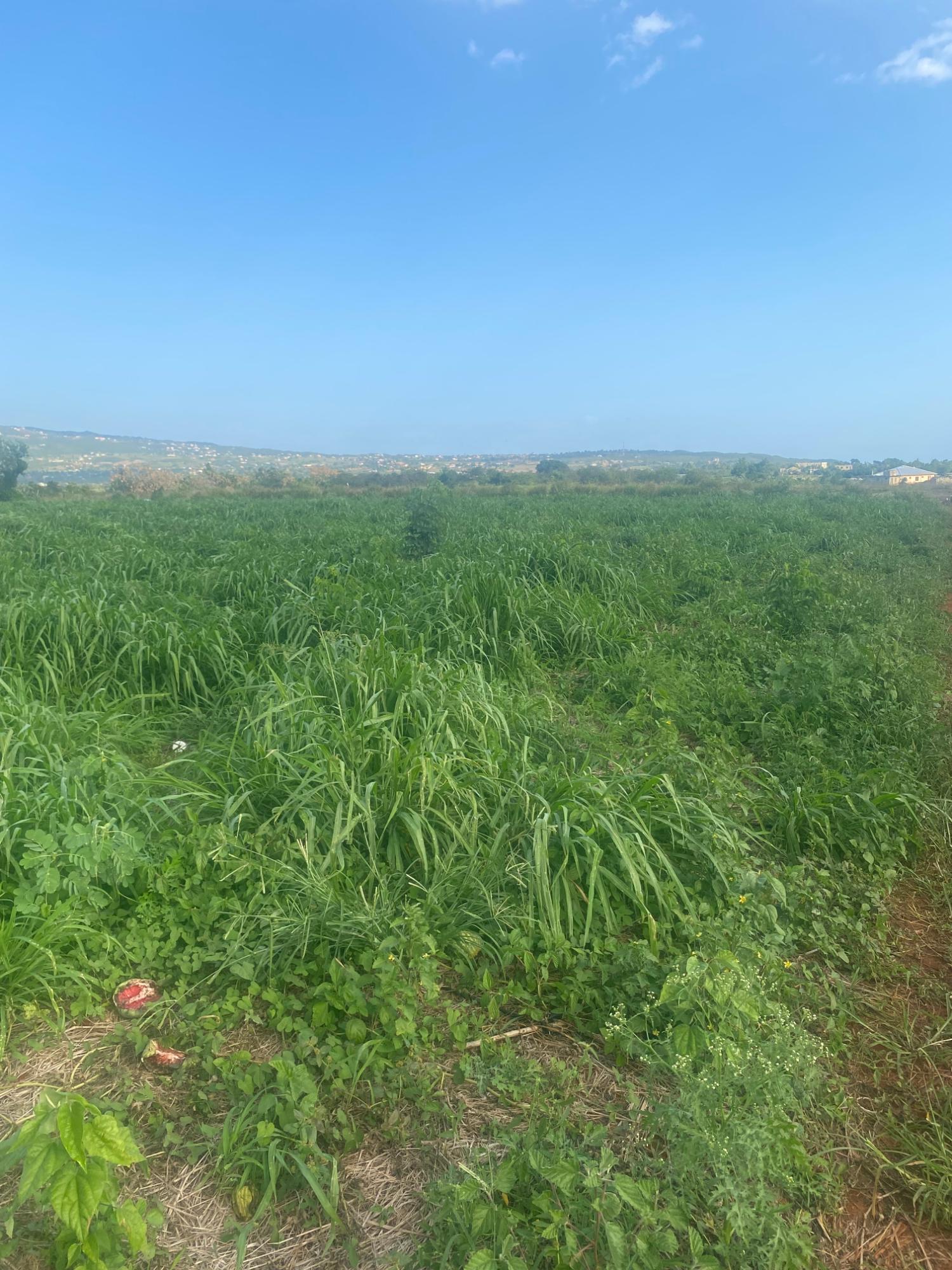 Fifth image of Beacon Called Short Hill in Treasure Beach, St. Elizabeth, Jamaica - property is For Sale