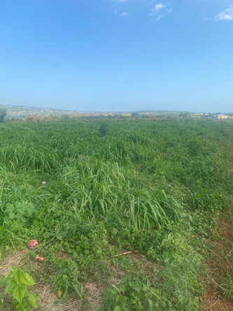 Fifth image of Beacon Called Short Hill in Treasure Beach, St. Elizabeth, Jamaica - property is For Sale