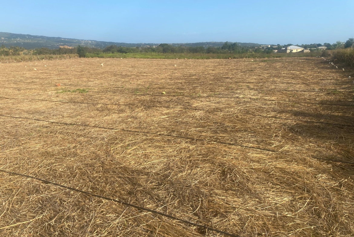 Sixth image of Beacon Called Short Hill in Treasure Beach, St. Elizabeth, Jamaica - property is For Sale