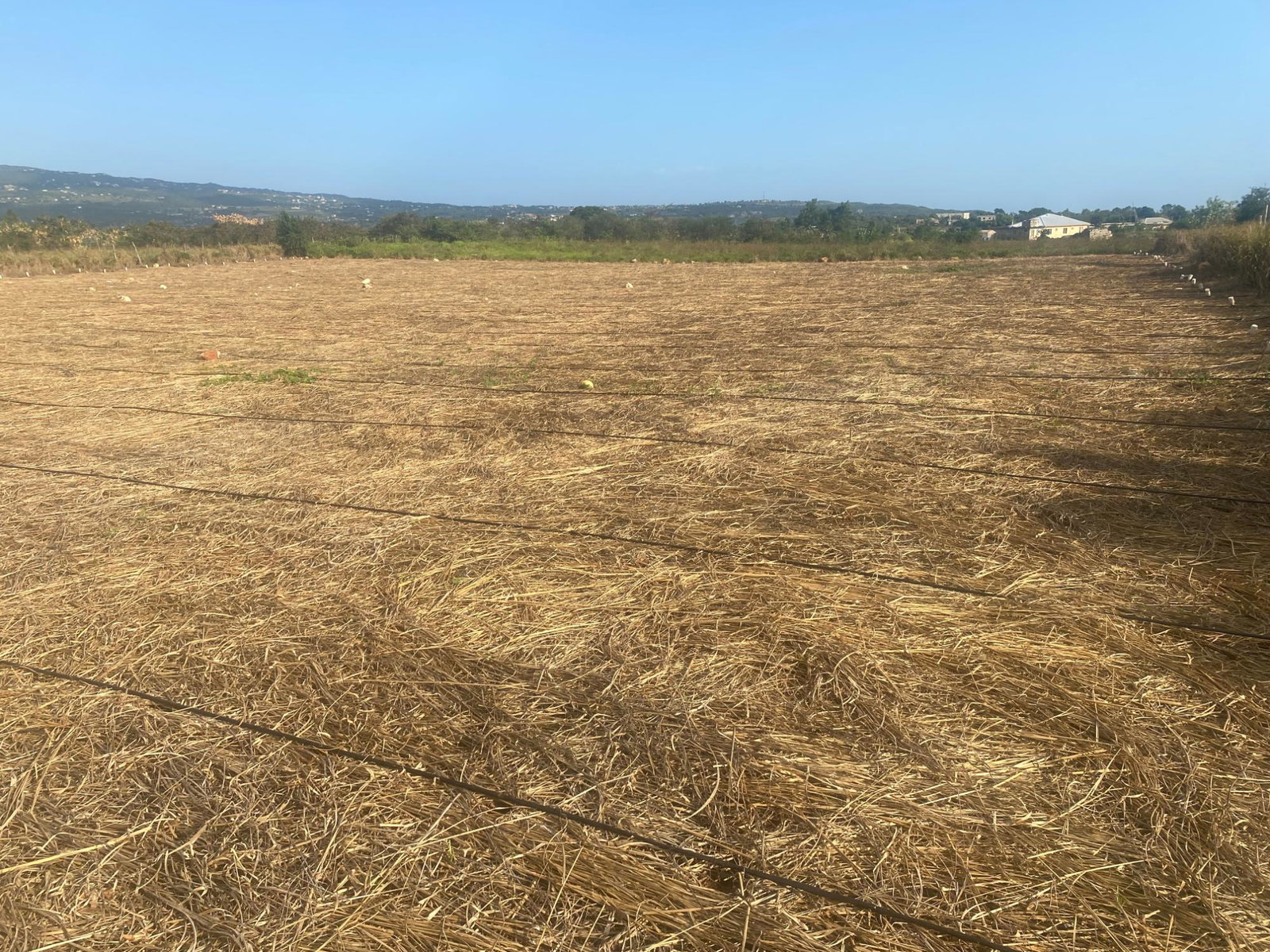 Sixth image of Beacon Called Short Hill in Treasure Beach, St. Elizabeth, Jamaica - property is For Sale