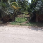 First image of 18 Coghiel Road in Ewarton, St. Catherine, Jamaica - property is For Sale