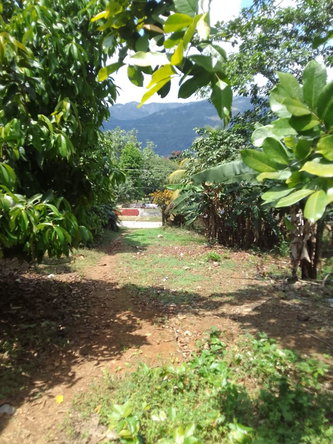 Third image of 18 Coghiel Road in Ewarton, St. Catherine, Jamaica - property is For Sale