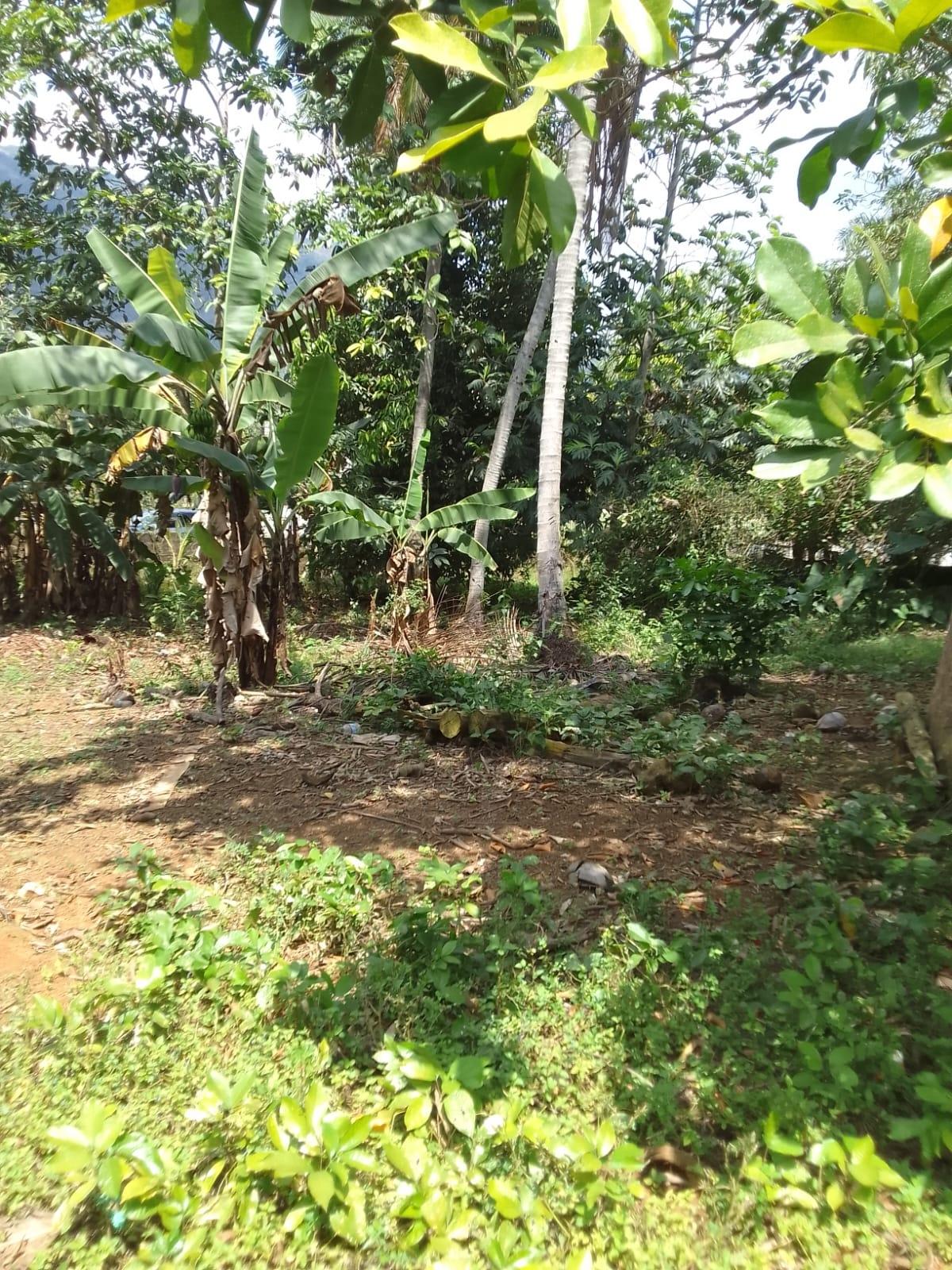 Fifth image of 18 Coghiel Road in Ewarton, St. Catherine, Jamaica - property is For Sale