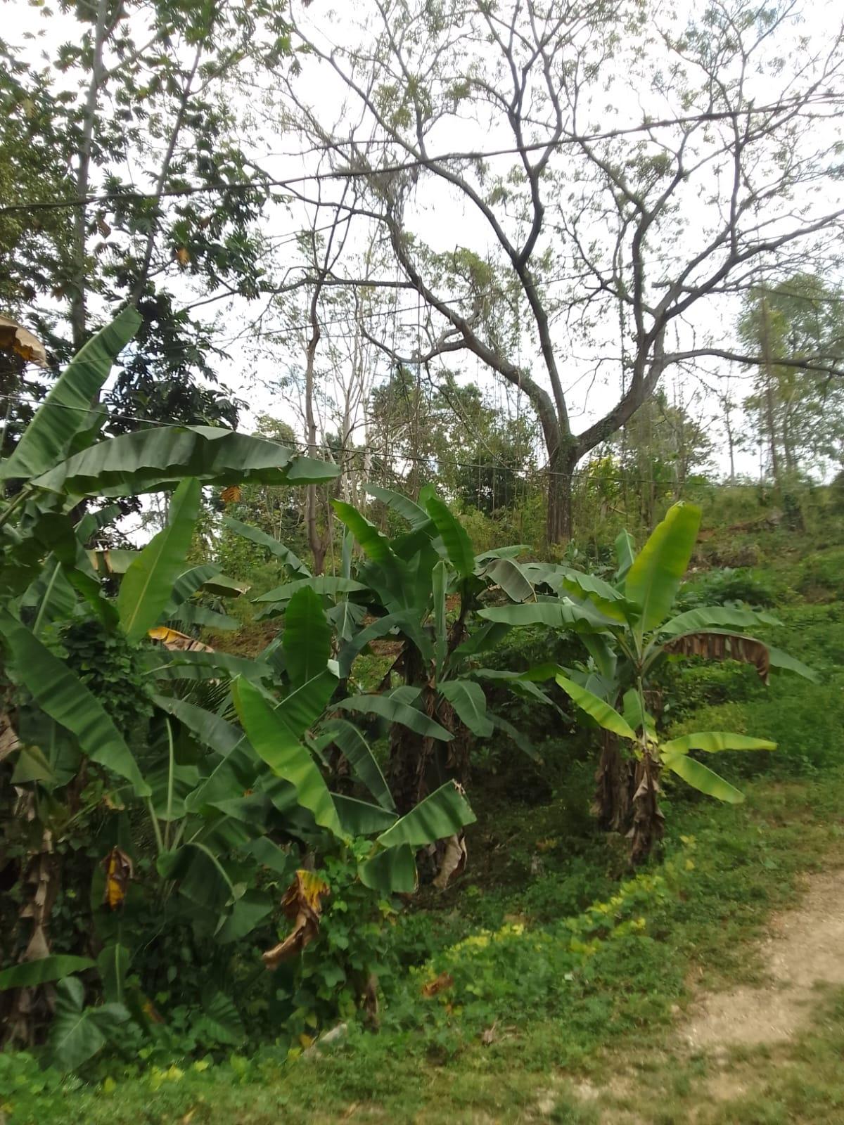 Seventh image of 18 Coghiel Road in Ewarton, St. Catherine, Jamaica - property is For Sale