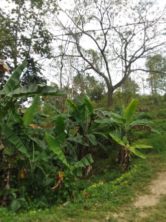 Seventh image of 18 Coghiel Road in Ewarton, St. Catherine, Jamaica - property is For Sale
