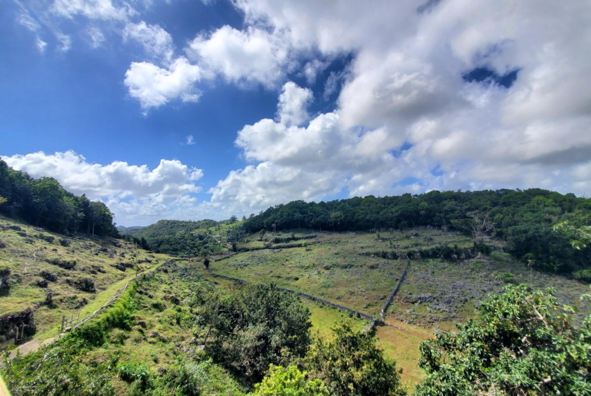 Twenty-Eighth image of Milford in Browns Town, St. Ann, Jamaica - property is For Sale