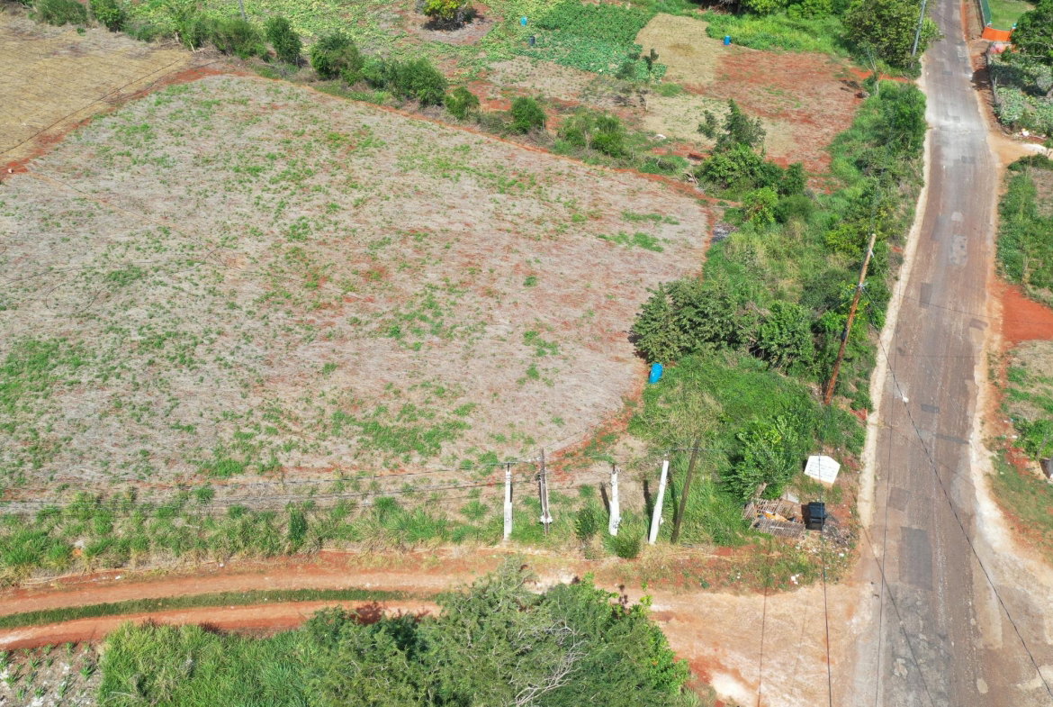 Eighth image of Claremont Park, Watchwell in Claremont Park, St. Elizabeth, Jamaica - property is For Sale