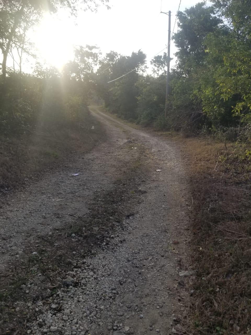 Second image of Lot 71 Brucefield Mountai in MOUNTAINSIDE, St. Elizabeth, Jamaica - property is For Sale