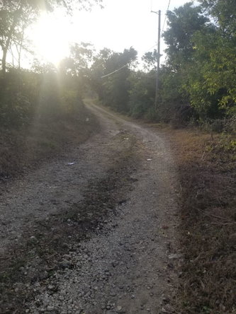 Second image of Lot 71 Brucefield Mountai in MOUNTAINSIDE, St. Elizabeth, Jamaica - property is For Sale
