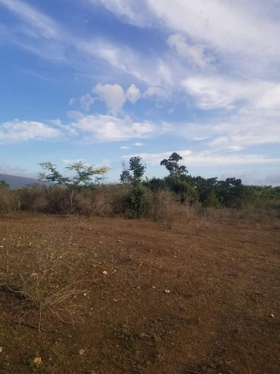 Eleventh image of Lot 71 Brucefield Mountai in MOUNTAINSIDE, St. Elizabeth, Jamaica - property is For Sale