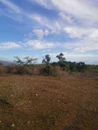 Eleventh image of Lot 71 Brucefield Mountai in MOUNTAINSIDE, St. Elizabeth, Jamaica - property is For Sale