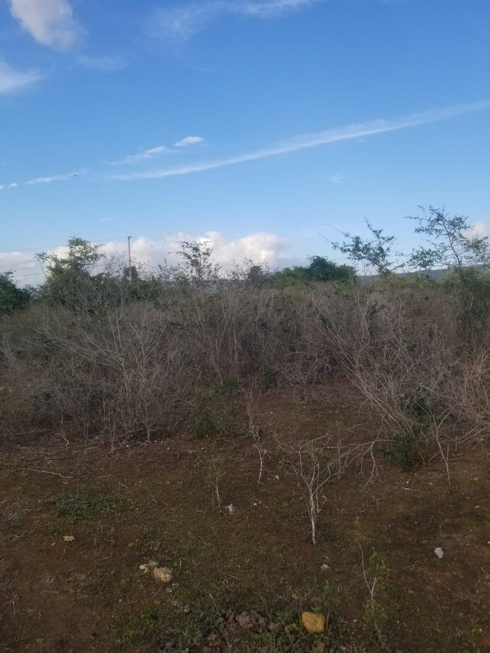 Twelfth image of Lot 71 Brucefield Mountai in MOUNTAINSIDE, St. Elizabeth, Jamaica - property is For Sale