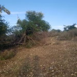 First image of Lot 71 Brucefield Mountai in MOUNTAINSIDE, St. Elizabeth, Jamaica - property is For Sale