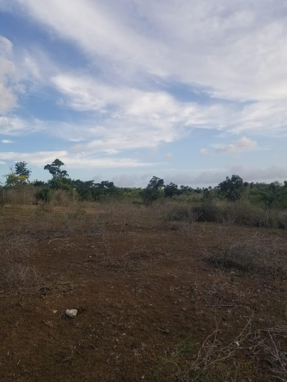 Third image of Lot 71 Brucefield Mountai in MOUNTAINSIDE, St. Elizabeth, Jamaica - property is For Sale