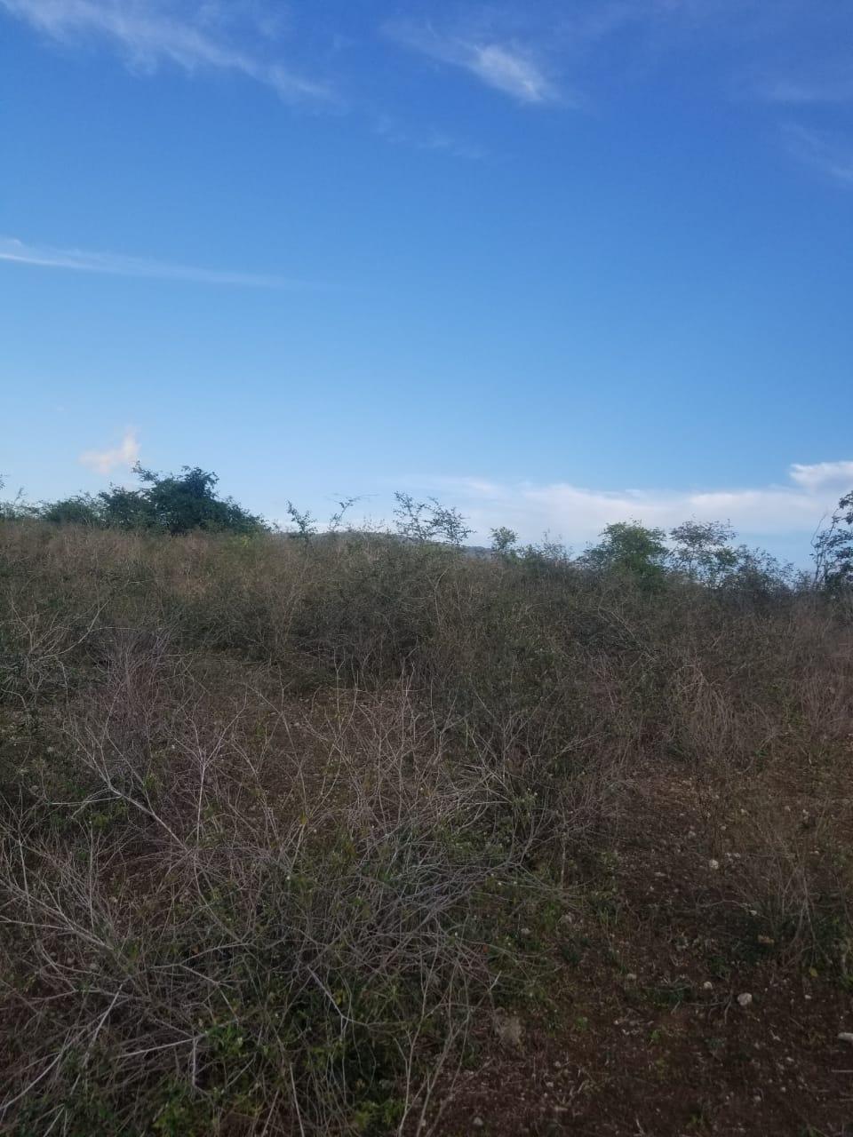 Fourth image of Lot 71 Brucefield Mountai in MOUNTAINSIDE, St. Elizabeth, Jamaica - property is For Sale