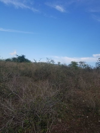 Fourth image of Lot 71 Brucefield Mountai in MOUNTAINSIDE, St. Elizabeth, Jamaica - property is For Sale