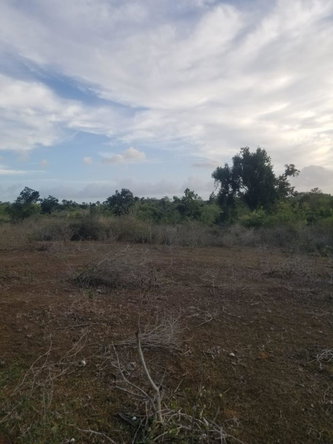 Fifth image of Lot 71 Brucefield Mountai in MOUNTAINSIDE, St. Elizabeth, Jamaica - property is For Sale