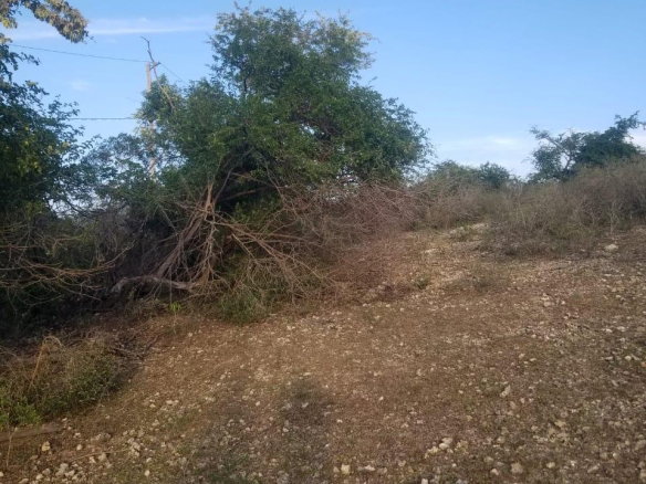 First image of Lot 71 Brucefield Mountai in MOUNTAINSIDE, St. Elizabeth, Jamaica - property is For Sale