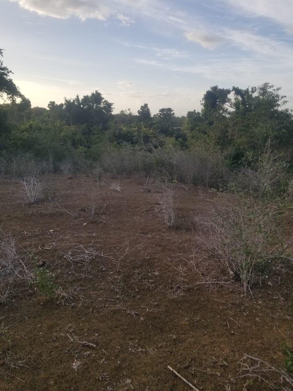 Seventh image of Lot 71 Brucefield Mountai in MOUNTAINSIDE, St. Elizabeth, Jamaica - property is For Sale