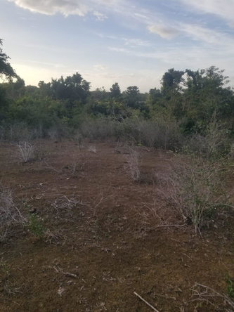 Seventh image of Lot 71 Brucefield Mountai in MOUNTAINSIDE, St. Elizabeth, Jamaica - property is For Sale