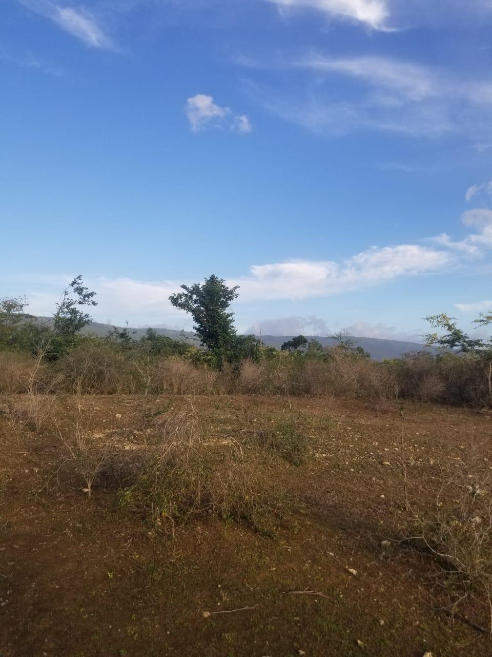Ninth image of Lot 71 Brucefield Mountai in MOUNTAINSIDE, St. Elizabeth, Jamaica - property is For Sale