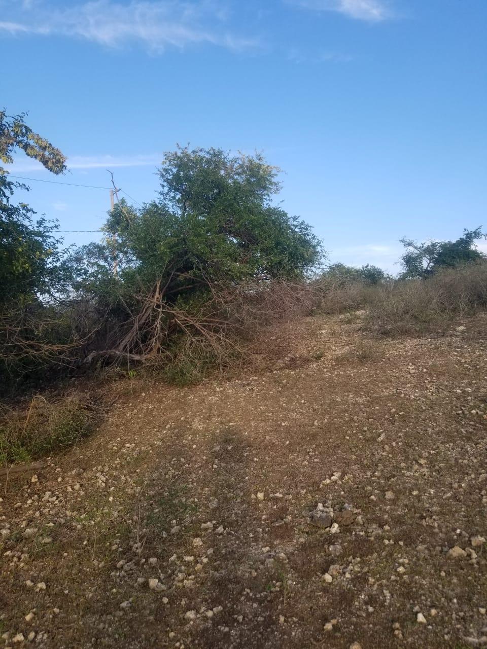 First image of Lot 71 Brucefield Mountai in MOUNTAINSIDE, St. Elizabeth, Jamaica - property is For Sale