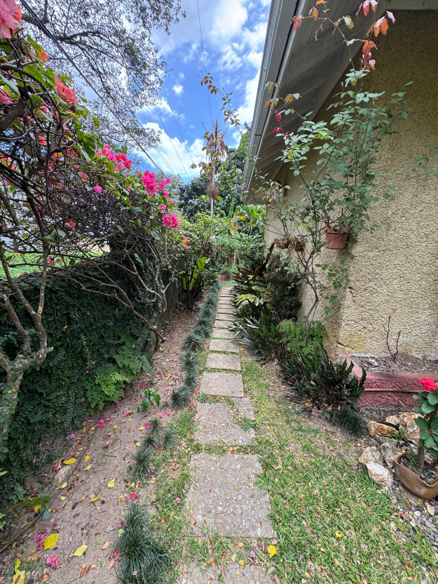 Twenty-Seventh image of 15 Parkway, Water Works in Kingston 8, St. Andrew, Jamaica - property is For Sale