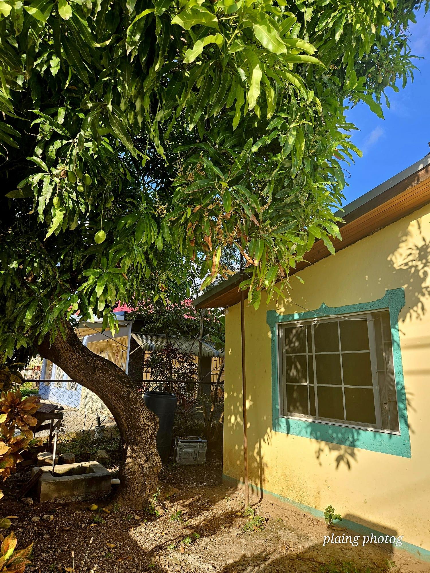 4-Bedroom-House-for-Sale-in-Nightingale-St.-Catherine-Jamaica Seventeenth image of 86 Mahoe Avenue, Nightingale in Bushy Park, St. Catherine, Jamaica - property is For Sale