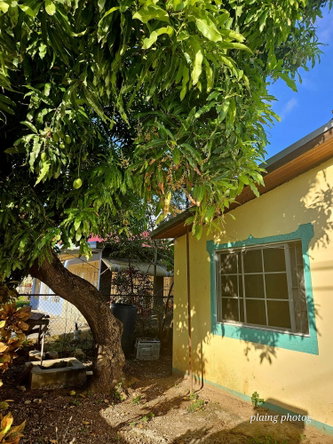 Seventeenth image of 86 Mahoe Avenue, Nightingale in Bushy Park, St. Catherine, Jamaica - property is For Sale