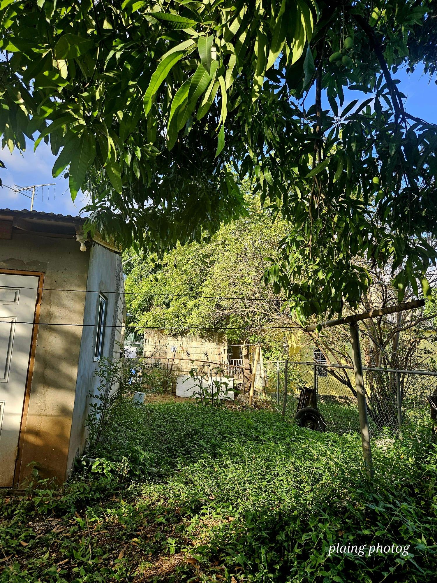 4-Bedroom-House-for-Sale-in-Nightingale-St.-Catherine-Jamaica Nineteenth image of 86 Mahoe Avenue, Nightingale in Bushy Park, St. Catherine, Jamaica - property is For Sale