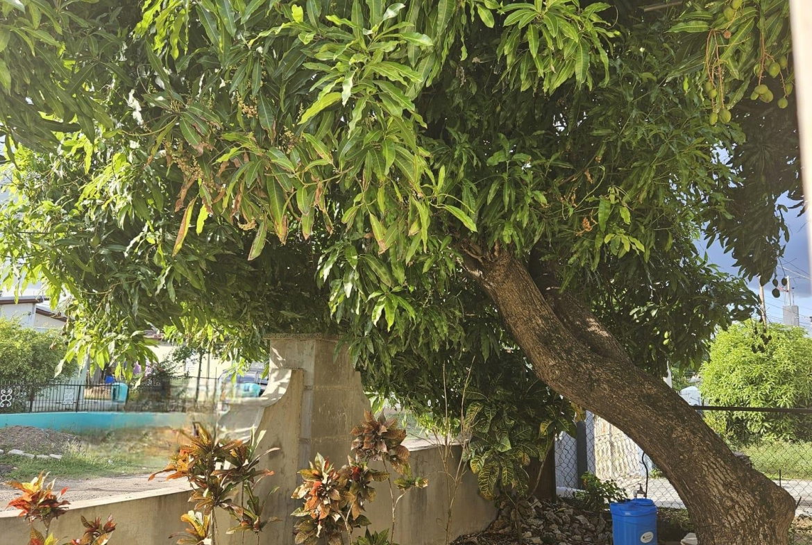Twenty-First image of 86 Mahoe Avenue, Nightingale in Bushy Park, St. Catherine, Jamaica - property is For Sale