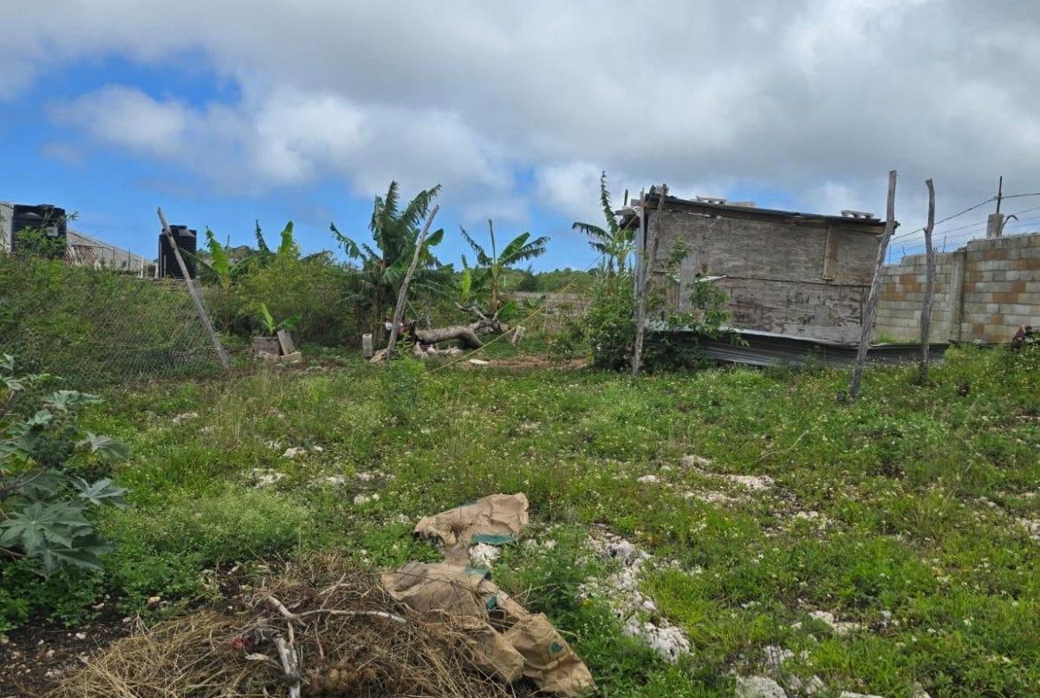 Fifteenth image of Cocoa Walk District in Cross Keys, Manchester, Jamaica - property is For Sale