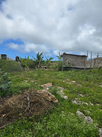 Fifteenth image of Cocoa Walk District in Cross Keys, Manchester, Jamaica - property is For Sale
