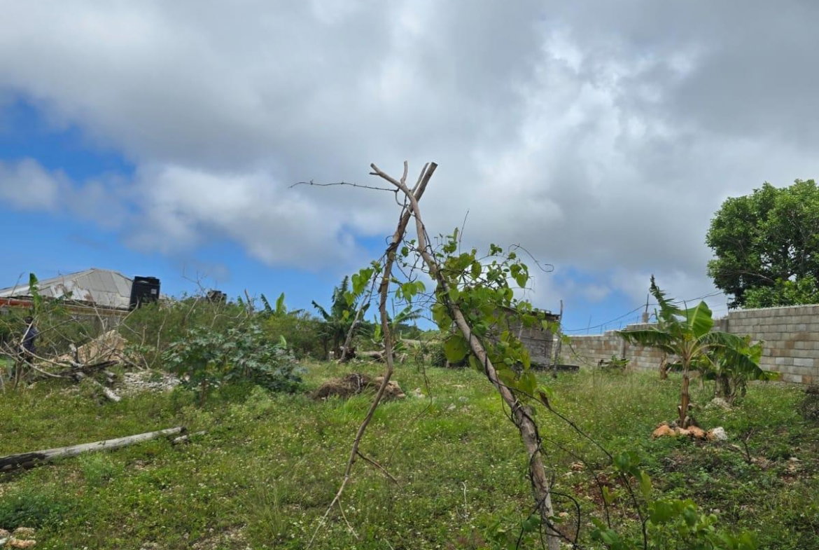 Sixteenth image of Cocoa Walk District in Cross Keys, Manchester, Jamaica - property is For Sale