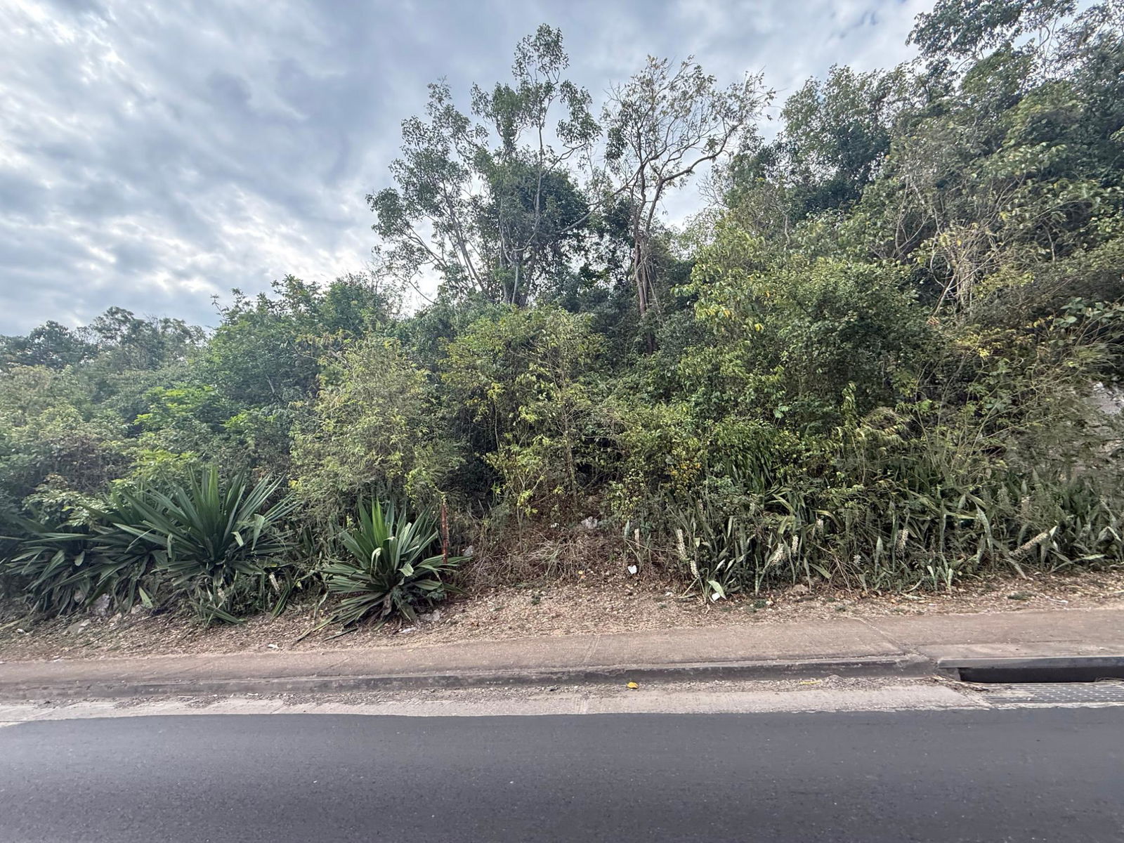 Twelfth image of Discovery Bay in Discovery Bay, St. Ann, Jamaica - property is For Sale